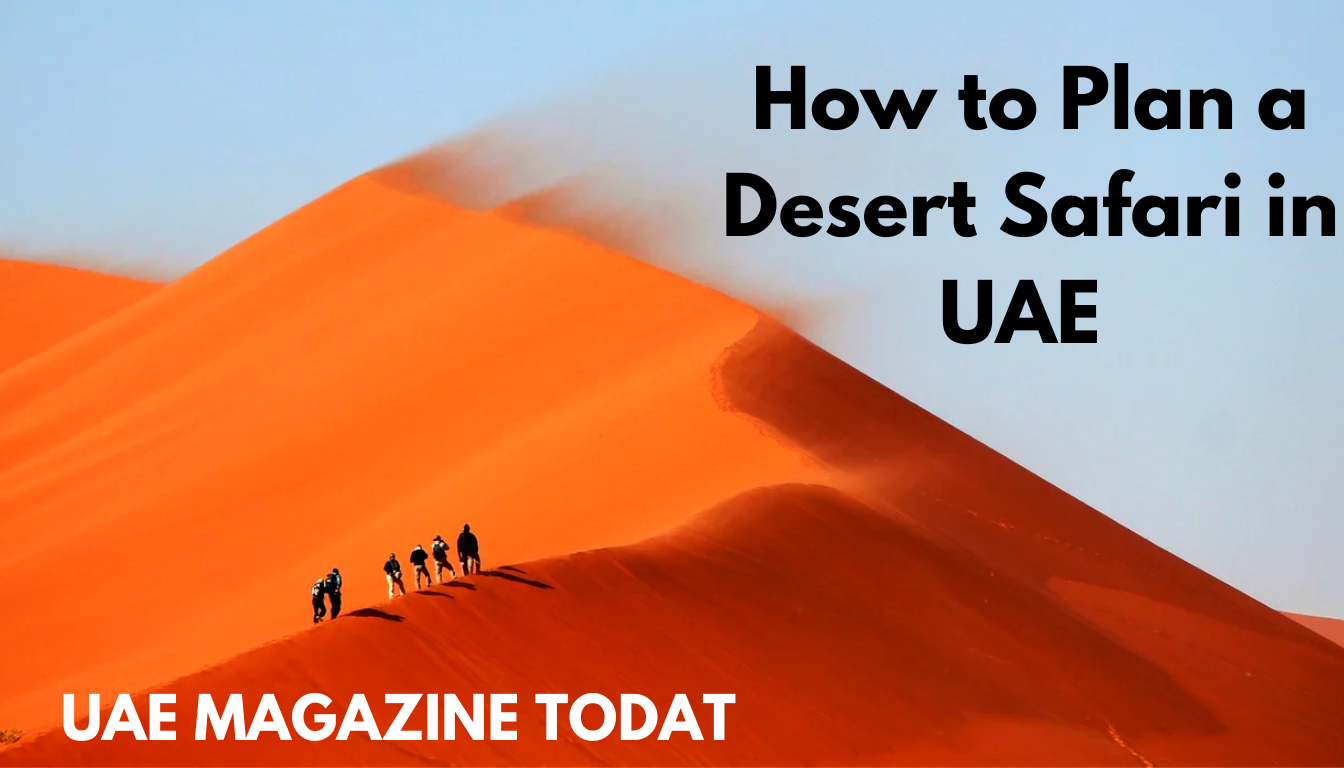 How to Plan a Desert Safari in UAE 